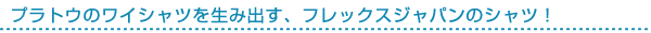�ץ�ȥ��Υ磻����Ĥ����߽Ф��ե�å�������ѥ�Υ���ġ�